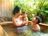 Ryokan Shoen - Hot Springs