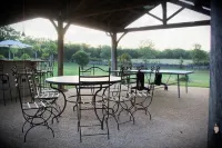 Domaine de Fangal -  - air-conditioned gite - 4 bdrms - 8 p - heated 25m pool Hotels in Midi-Pyrenees