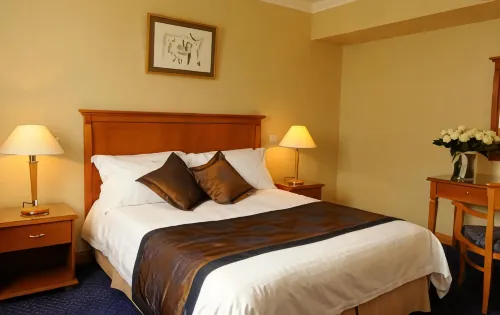 Castelli Hotel Nicosia Hotel a Agios Dometios