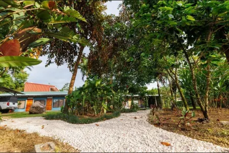 Hotel Rio Celeste Dreams Отели в г. Рио Наранхо