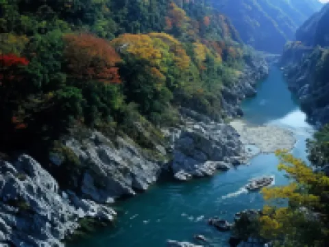 Awanosho Hotels in Miyoshi