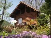 Evergreen Hotels in Katashina