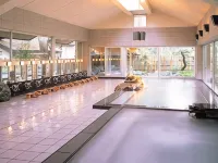 Shimobe Hotel Hotels in Minobu