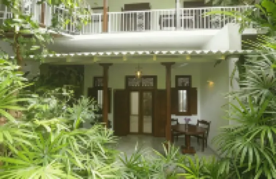 錫蘭橄欖酒店 酒店