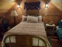 Cozy cabin in the woods. Peaceful and only 15 minutes to Mountain View. Hotels in Stone County