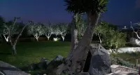 Vacation with family or friends in Pompeii in apartment with garden and parking space