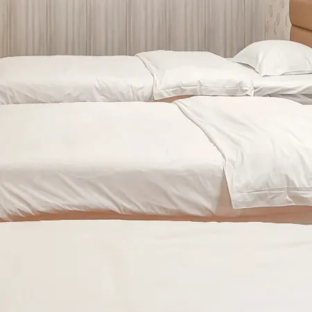 Tongjiang Qin Chuan Homestay