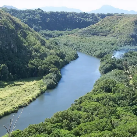 Wailua Hideaway - One Bedroom Stream-Side Apartment