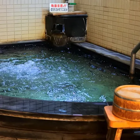 Ryokan Fujiya