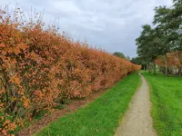 Renesse Stacaravan in Family Friendly Camping