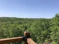 CLEAR VIEW CABIN - only 1 mile from Van Buren & Current Rvr @ Big Spring Park!