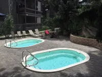 Remodeled and Upgraded; 1 mile from lifts, Shuttle stops at our property - Pool