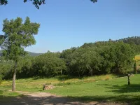 Farmhouse apartment between Siena and the sea relax pool WiFi 2 bedrooms 4-5p - WiFi