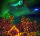 Close to Talkeetna, with easy access to Parks Hwy, walk to Denali Brewery Co. - 鄉村度假屋