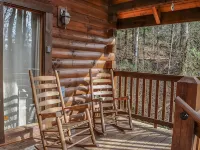 " Beary Cozy Cabin " - Private Pools