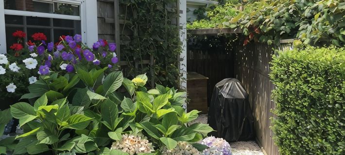 主街下段，雅緻小屋。 楠塔基特住宿飯店