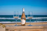 First Floor, Directly on the Ocean & Well Stocked Condo! Listen to Waves Crash!