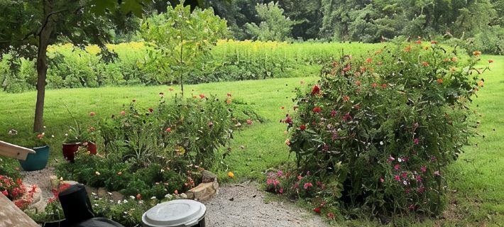 Sunflower/Mushroom Farmhouse just 6 minutes from Lawrence"Wakarusa Valley Farm" Hotels in Douglas County