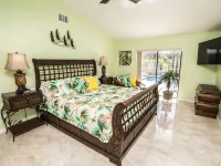 New Palm Tree III - Free Heated Pool/Spa ( Kayaks, Paddle boards, and bikes) Hotels in Apollo Beach