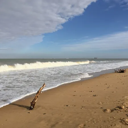 House 100 m from the beach Отели в г. Сен-Пьер-д'Олерон