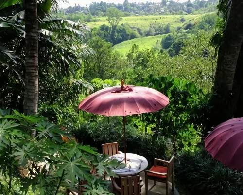 Prashanti Bali بالقرب من الفندق Photos