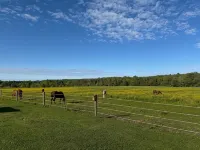 WJ's Countryside Retreat - Minutes from Peek'n Peak Resort & Findley Lake, NY ! - Wi-Fi