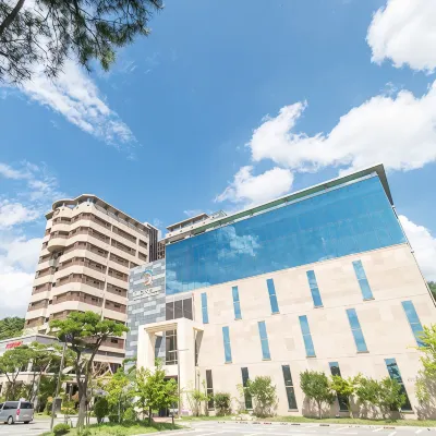 Andong Richell Hotel - 格安