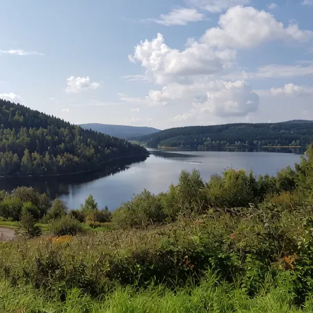 Cozy apartment in the beautiful Ore Mountains - apartment spring