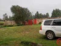 Comfort Guest House Kericho Hotels in Kericho