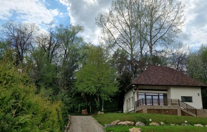 Provence Suceava
