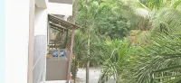 Banyan Resort Bangsaen - صديق للحيوانات الاليفة