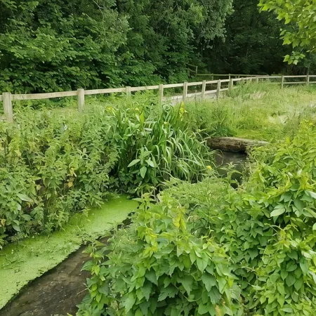 Streamside Apartments