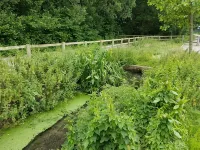 Streamside Apartments -  Appartamenti vacanze