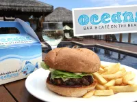 Vanuatu Beachfront Apartments Hotels in Efate