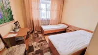 Smart Hotel Kdo Barnaul Hotel - Mountain view