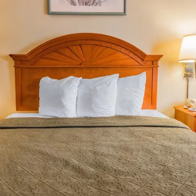 Quality Inn Grand Rapids North Các khách sạn gần Nhà máy bia Greyline Brewing Co.