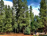 Mountain Top Luxury Retreat - Elegant Cabin Near Zion and Bryce