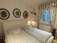 Secluded hunting lodge with three houses in the middle of the spectacular Harz nature