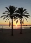 Acacia Marina - Beach