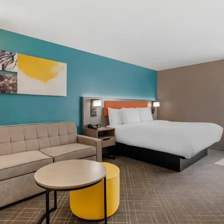 Comfort Inn & Suites Clemson - University Area