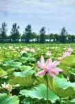 Xinghua Hangzhou Bay Hotel (Banqiao Former Residence) - 2-Star