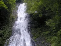 Ryokamisho - Gym