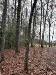 Private cozy cabin in the woods with great view! - Alppimaja