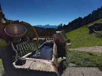 New opening June 2022 - Chalet tree house with private whirlpool - Wifi