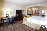 Holiday Inn Express & Suites KINGSVILLE by IHG - Wifi