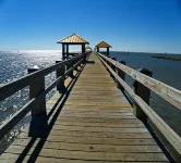 Beautiful  Beachview 4 BR/2 Bath Home, 7 Beds, Sleeps 13 - ジャグジー