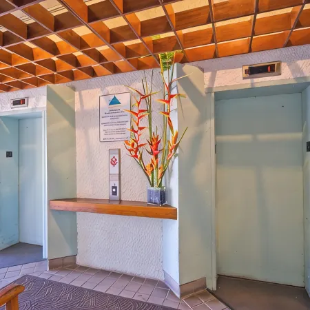 Direct Oceanfront Mauna Loa Shores #508 Next Carlsmith Beach Park