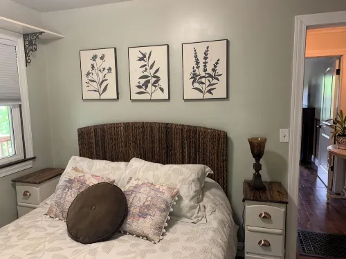 Whitley Woods Cottage, secluded on 80 acres, Chadwick MO - Homestays