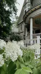 ギンゴウ ツリー イン - Wi-Fi