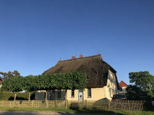 Beautiful thatched roof house with south-facing terrace, 2 shower rooms and 2 parking spaces - Homestays